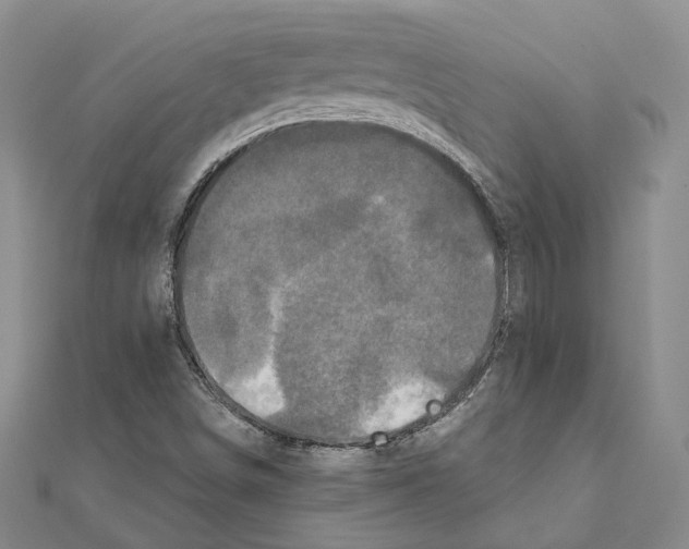 X0000111161498200907281142