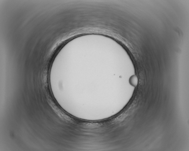 X0000111161499200907281142