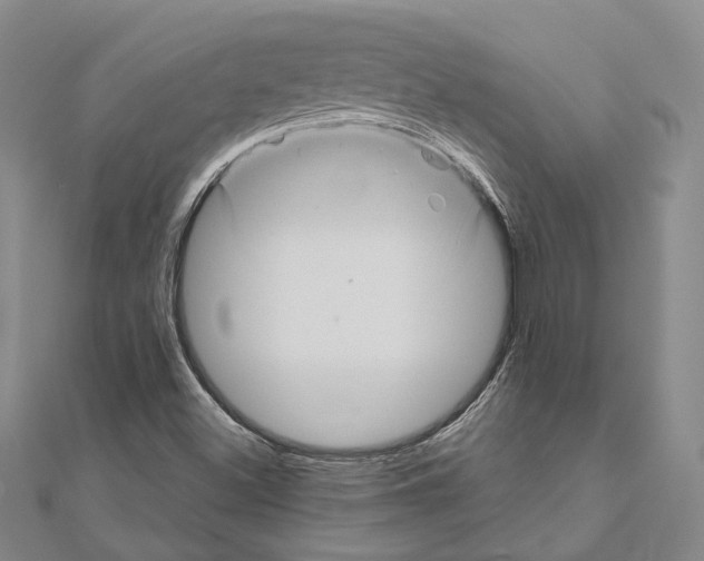 X0000111161500200907281142