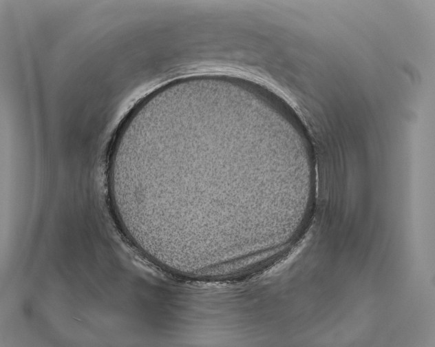 X0000111161501200907281142