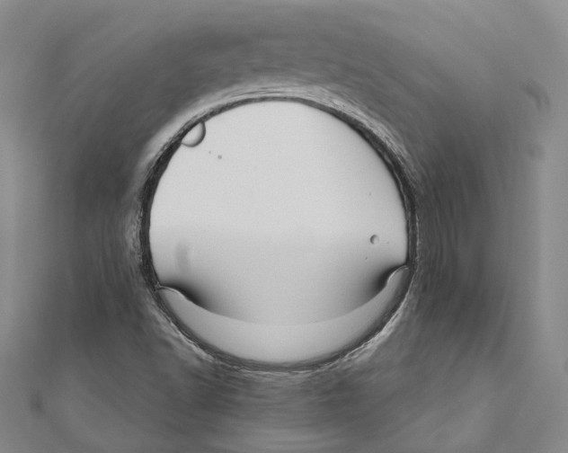 X0000111161502200907281142