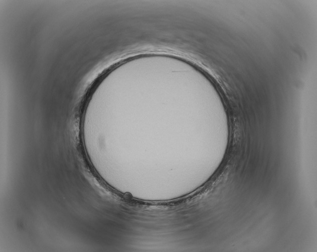 X0000111161503200907281142