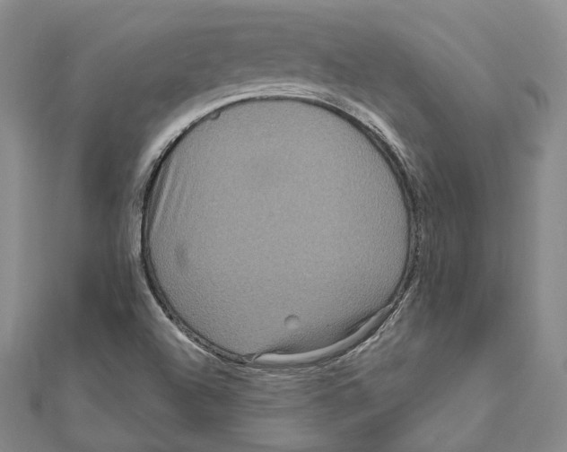 X0000111161504200907281142