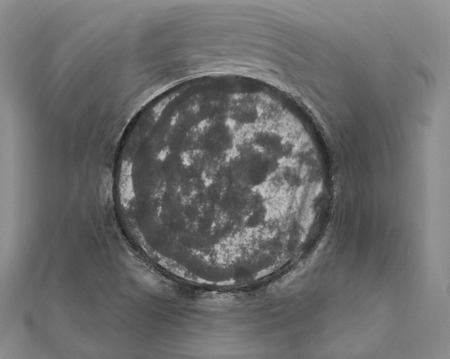 X0000111161505200907281142