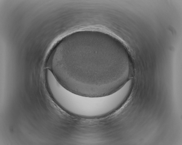 X0000111161506200907281142