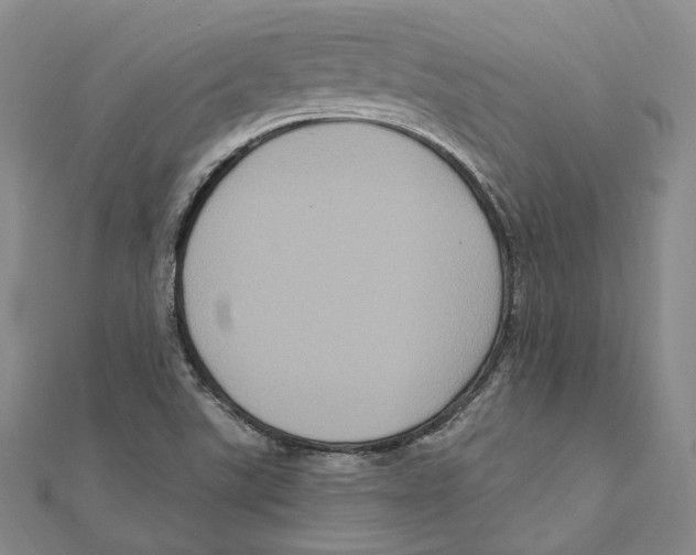 X0000111161507200907281142