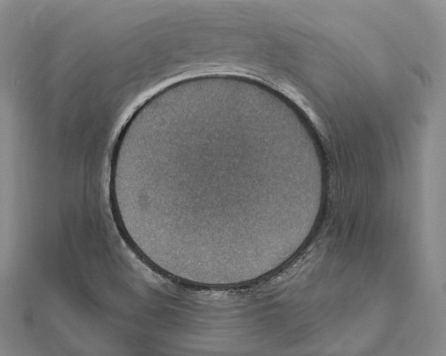 X0000111161508200907281142