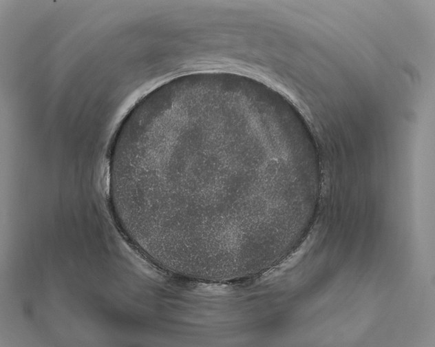 X0000111161509200907281142