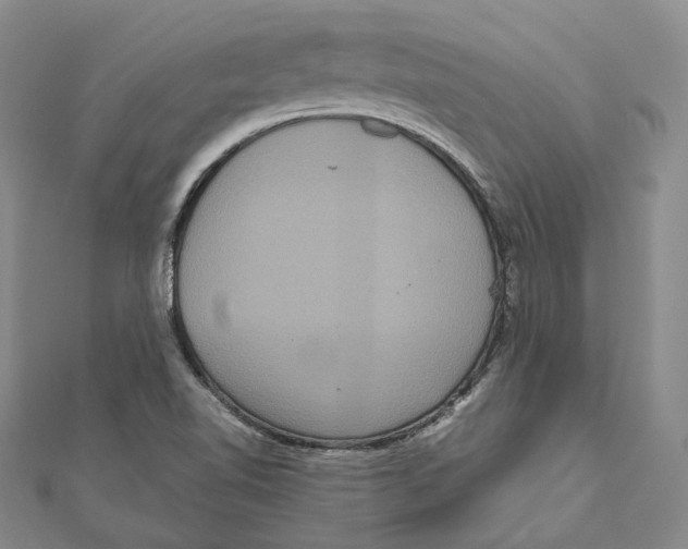 X0000111161510200907281142