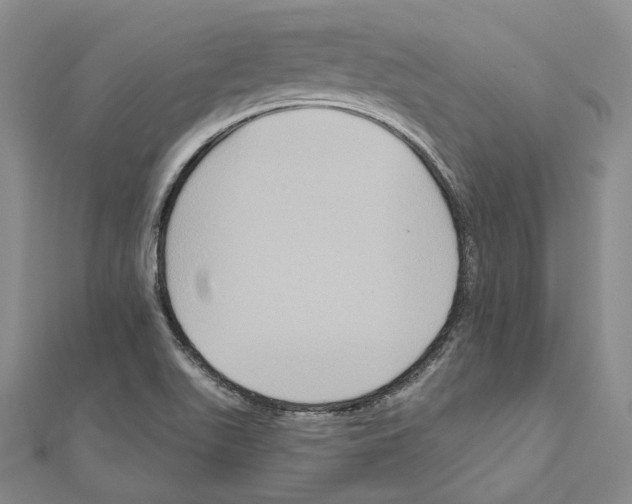 X0000111161511200907281142