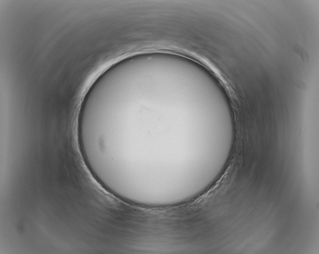 X0000111161512200907281142