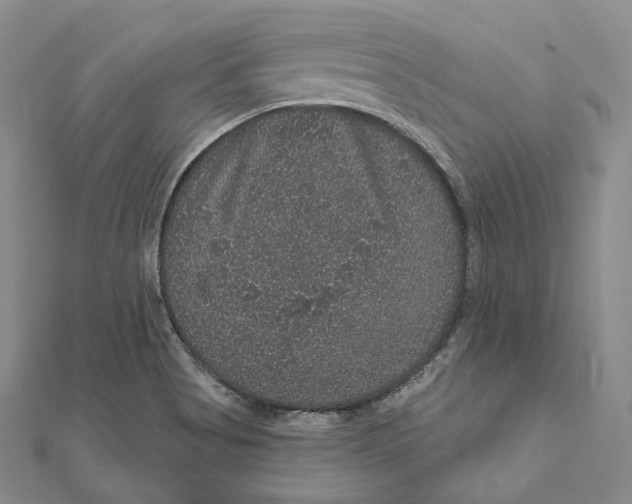 X0000111161513200907281142