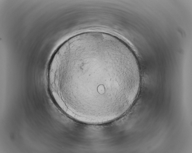 X0000111161514200907281142