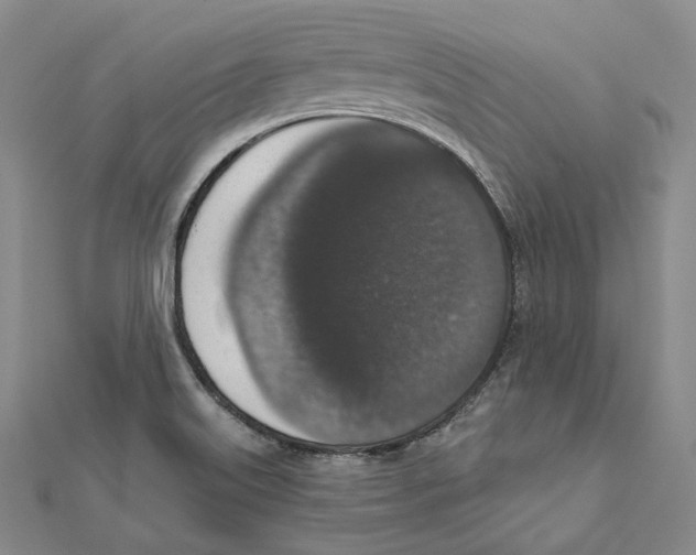 X0000111161515200907281142