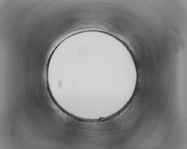 X0000111161516200907281142