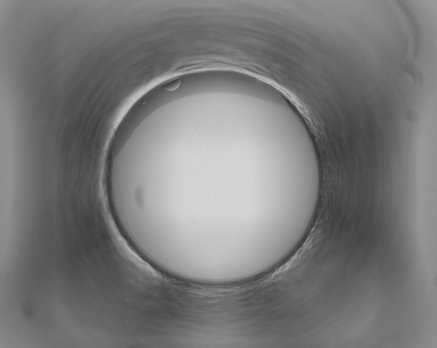 X0000111161518200907281142