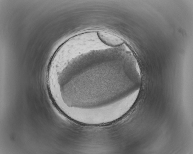 X0000111161519200907281142