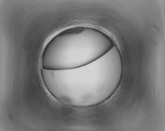 X0000111161520200907281142