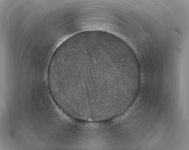 X0000111161521200907281142