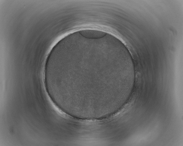 X0000111161523200907281142