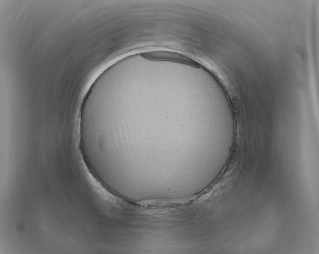 X0000111161524200907281142