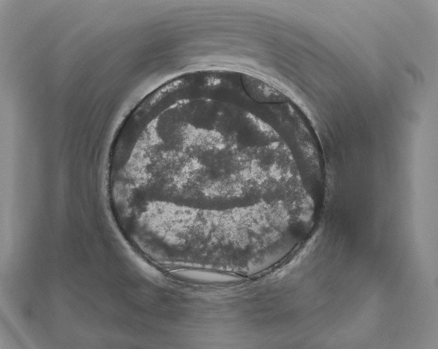 X0000111161525200907281142