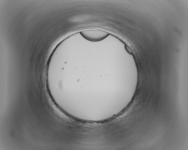 X0000111161526200907281142