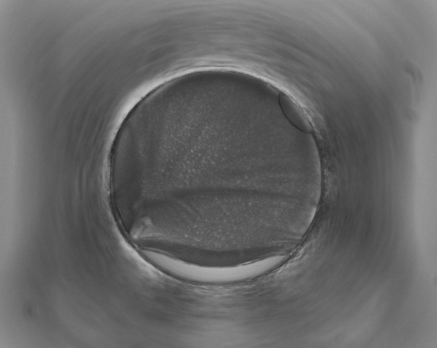 X0000111161527200907281142