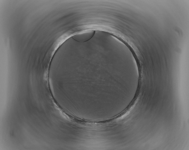 X0000111161529200907281142