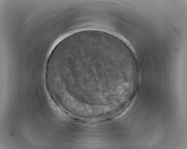 X0000111161530200907281142