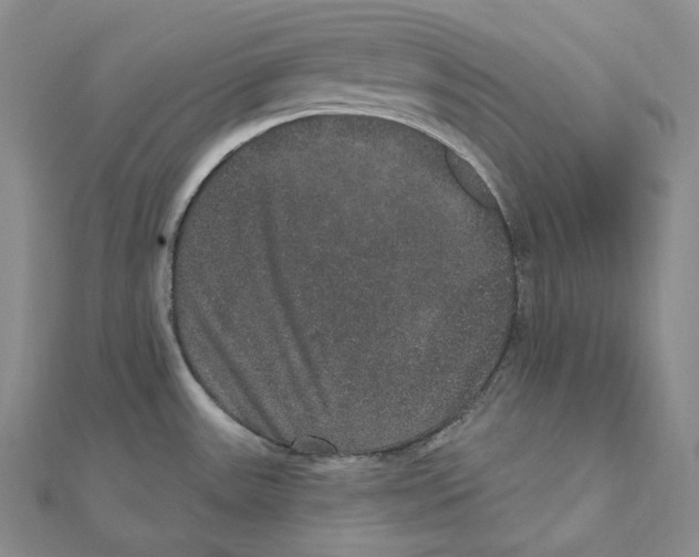 X0000111161531200907281142