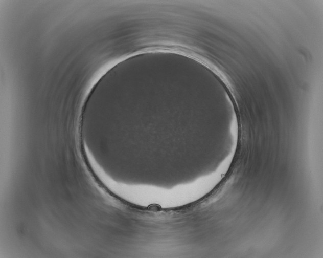 X0000111161533200907281142