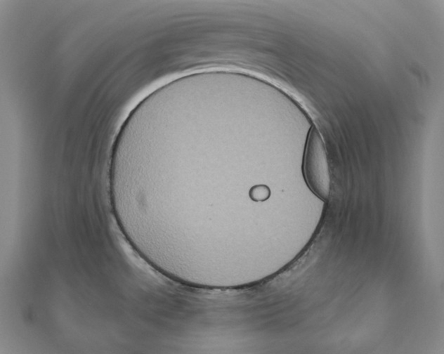 X0000111161534200907281142