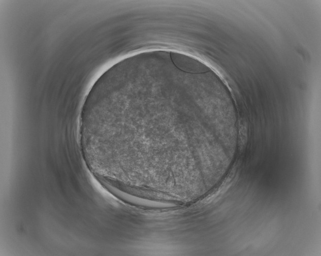 X0000111161535200907281142