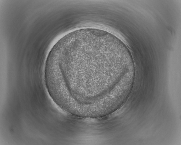 X0000111161536200907281142