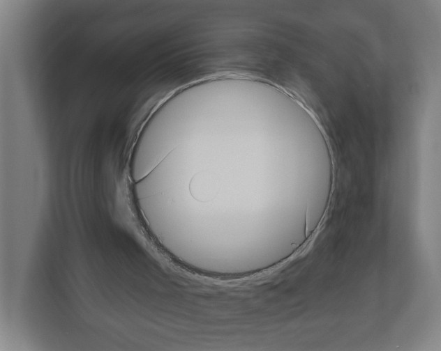 X0000111160001200908111203