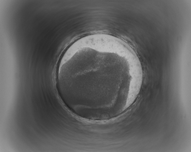 X0000111160002200908111203