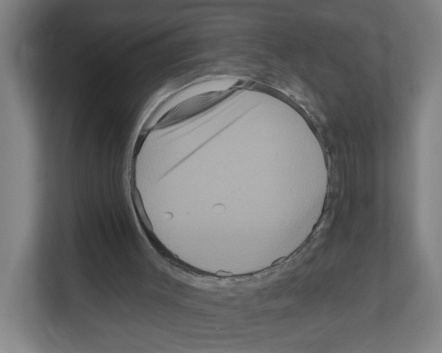 X0000111160003200908111203