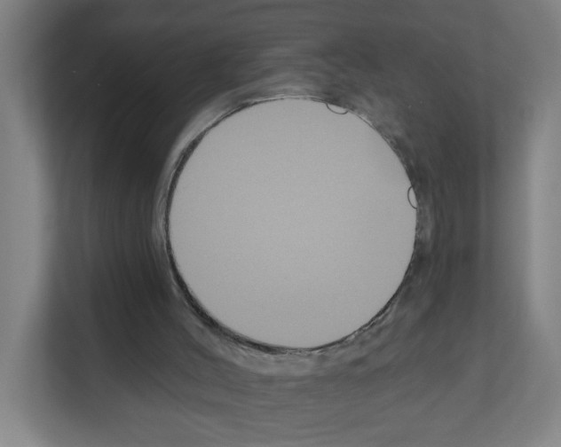 X0000111160004200908111203