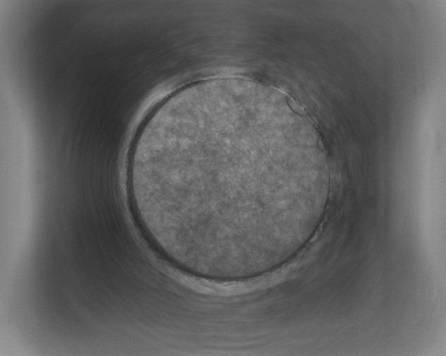 X0000111160006200908111203