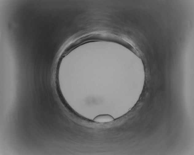 X0000111160007200908111203