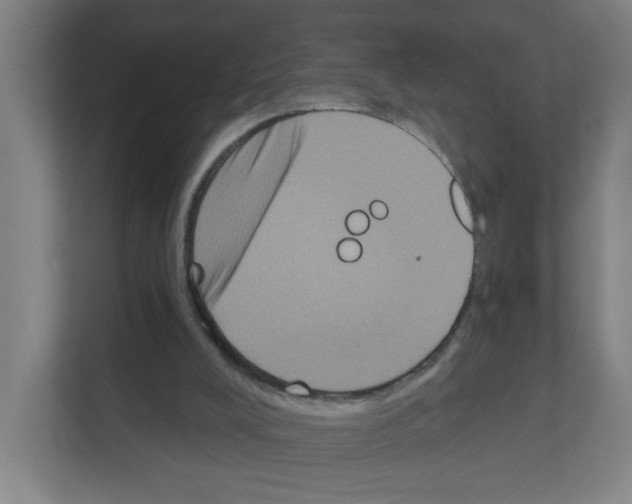 X0000111160008200908111203