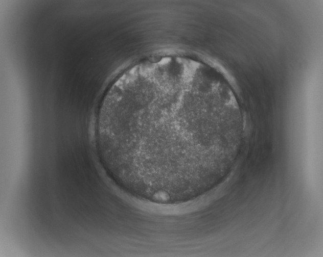 X0000111160010200908111203
