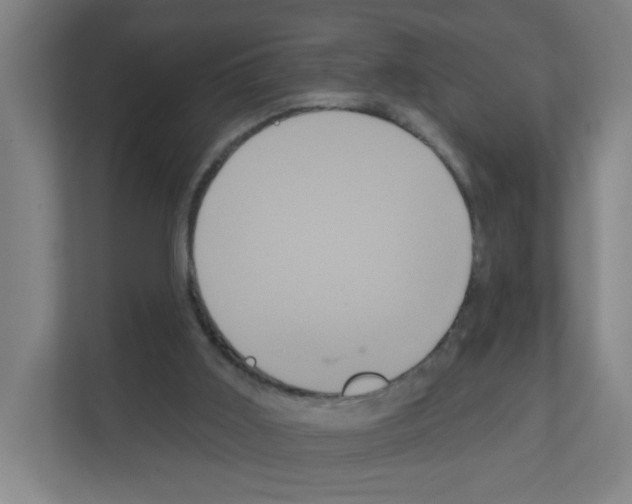X0000111160011200908111203