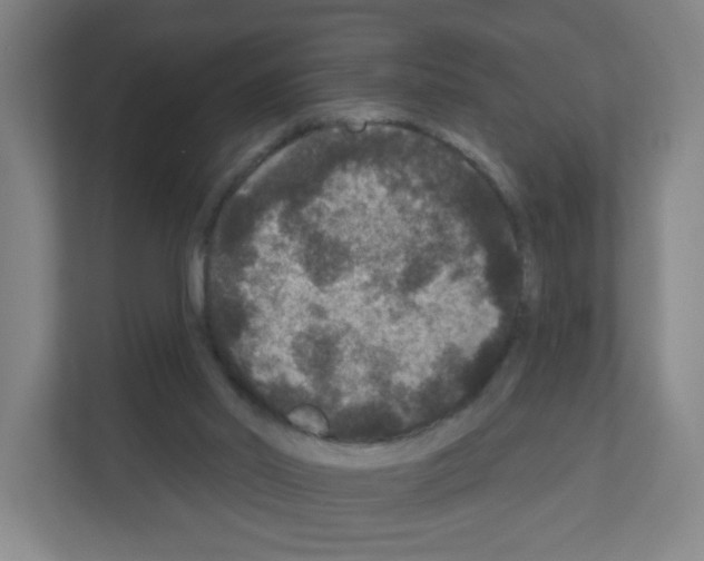 X0000111160014200908111203