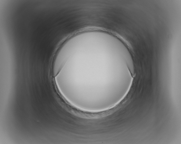X0000111160015200908111203