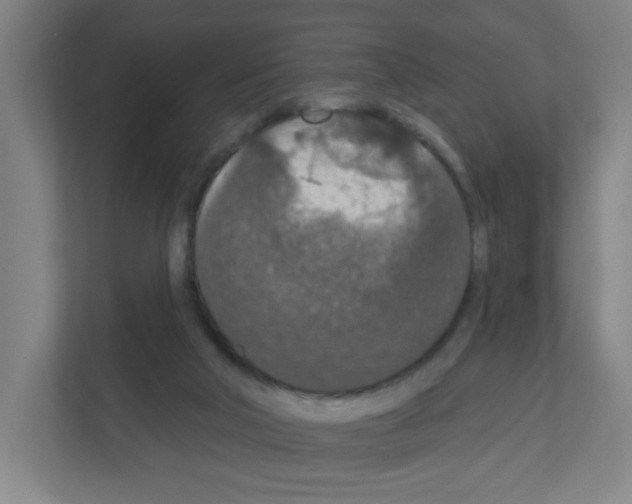 X0000111160018200908111203