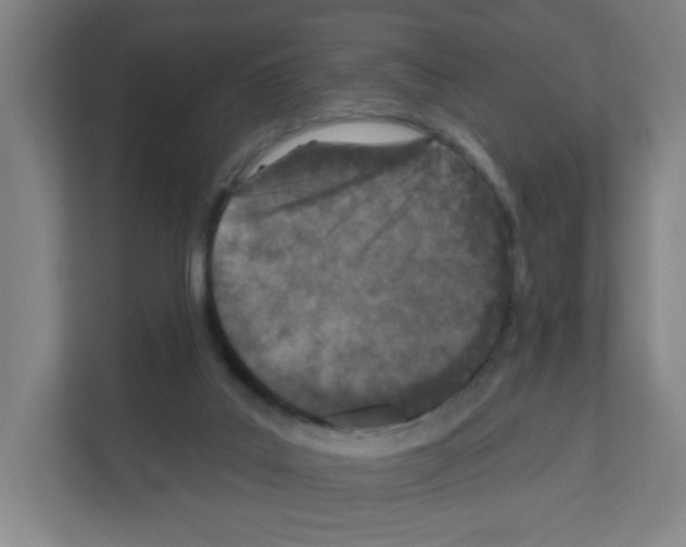 X0000111160019200908111203