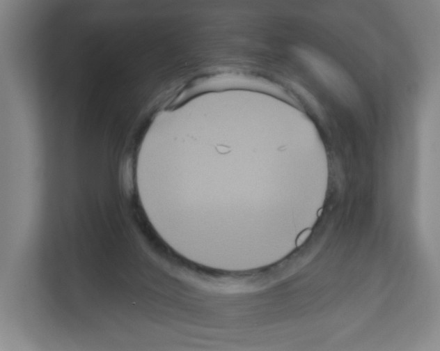 X0000111160020200908111203