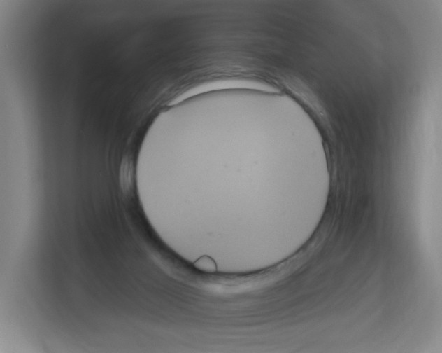 X0000111160021200908111203